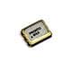 Pletronics Inc. QM5544LEV-100.0M