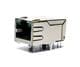 Pulse Electronics J1012F21KNL