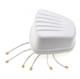 Pulse Electronics PAN62312DM