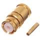 Radiall R222052000W
