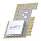 Silicon Labs MGM210LA22JNF2