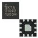 Skyworks Solutions, Inc. SKYA21062