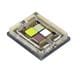 Cree LED XNPAPL-H0-0000-00000CPAAALA