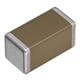 TDK C1005X7S0G225K050BC