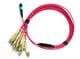 Techway BREAKOUT MTP24-F TO 24XLCO