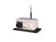 Measurement Specialties PT101-0010-111-1110