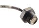 Measurement Specialties LM31-00000F-015PG
