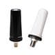 Pulse Electronics LPTNGPDCG600/71DMN